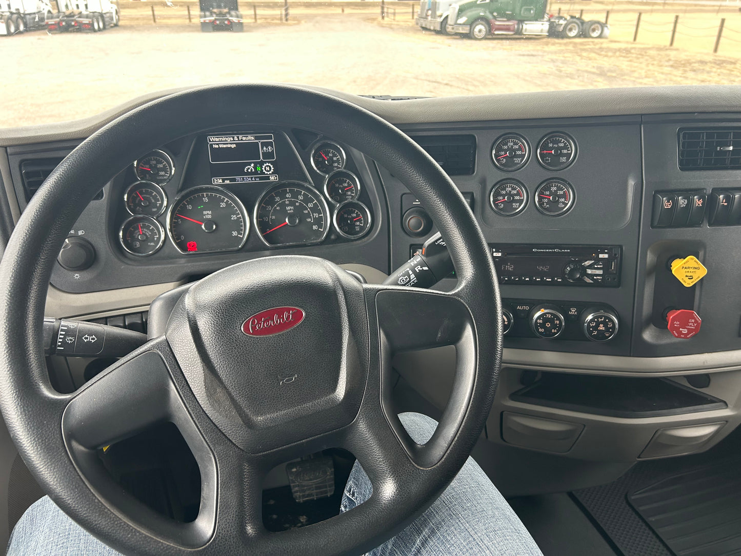 2019 Peterbilt 579